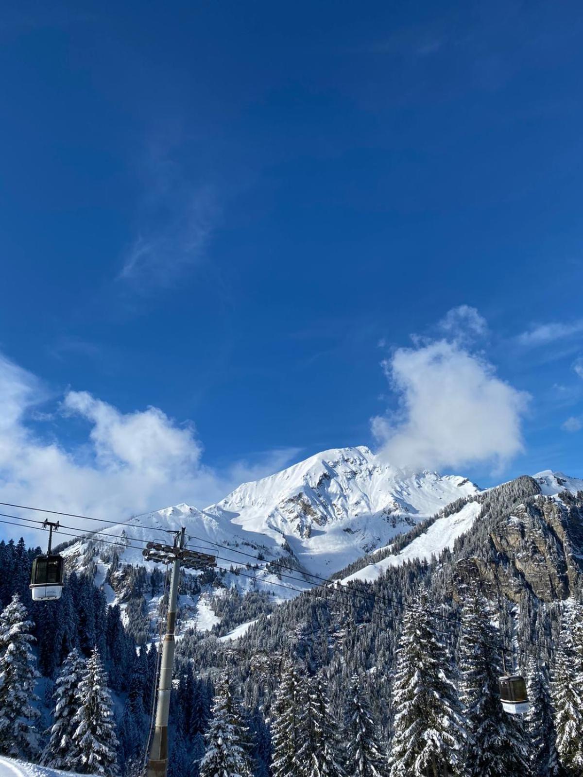 Hotel Le Roitelet Châtel Exteriér fotografie