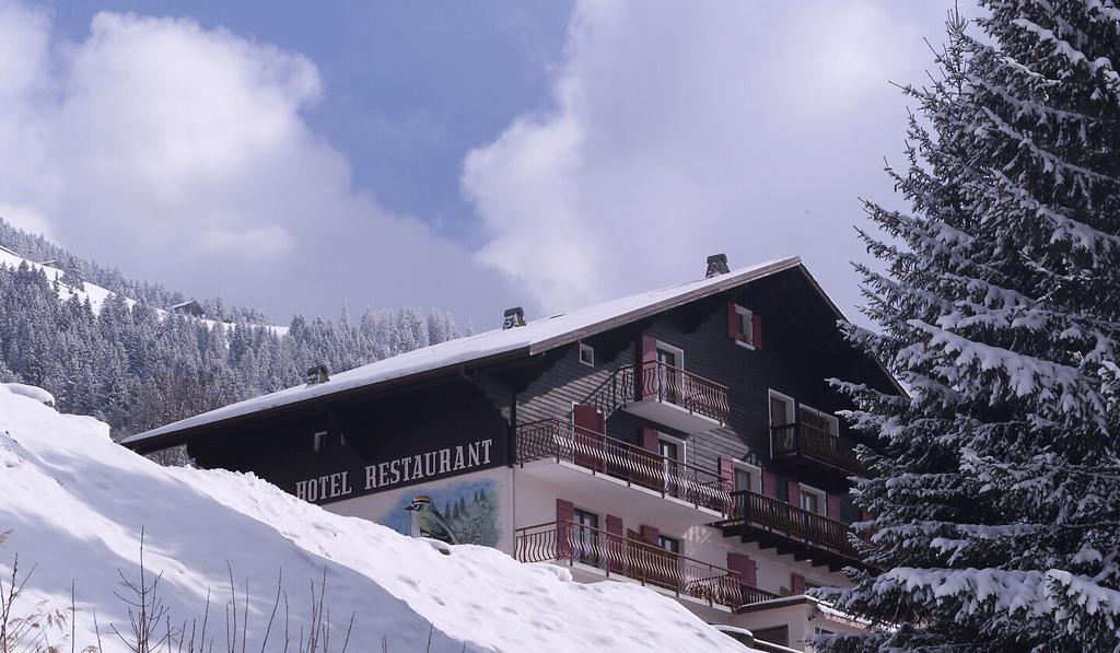 Hotel Le Roitelet Châtel Exteriér fotografie