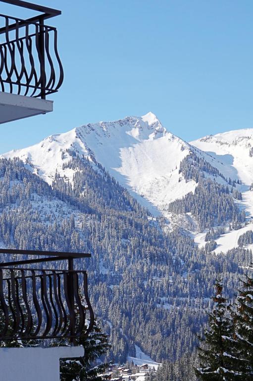 Hotel Le Roitelet Châtel Exteriér fotografie